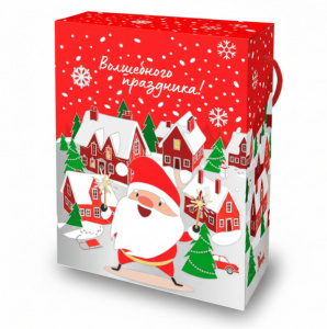Новогодний подарок Городок 800 гр.